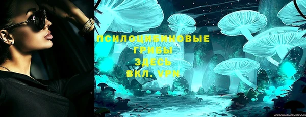 ALPHA PVP Белокуриха