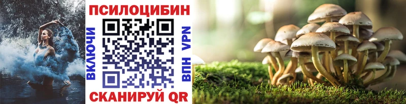 Галлюциногенные грибы Cubensis  где можно купить наркотик  Дальнегорск 